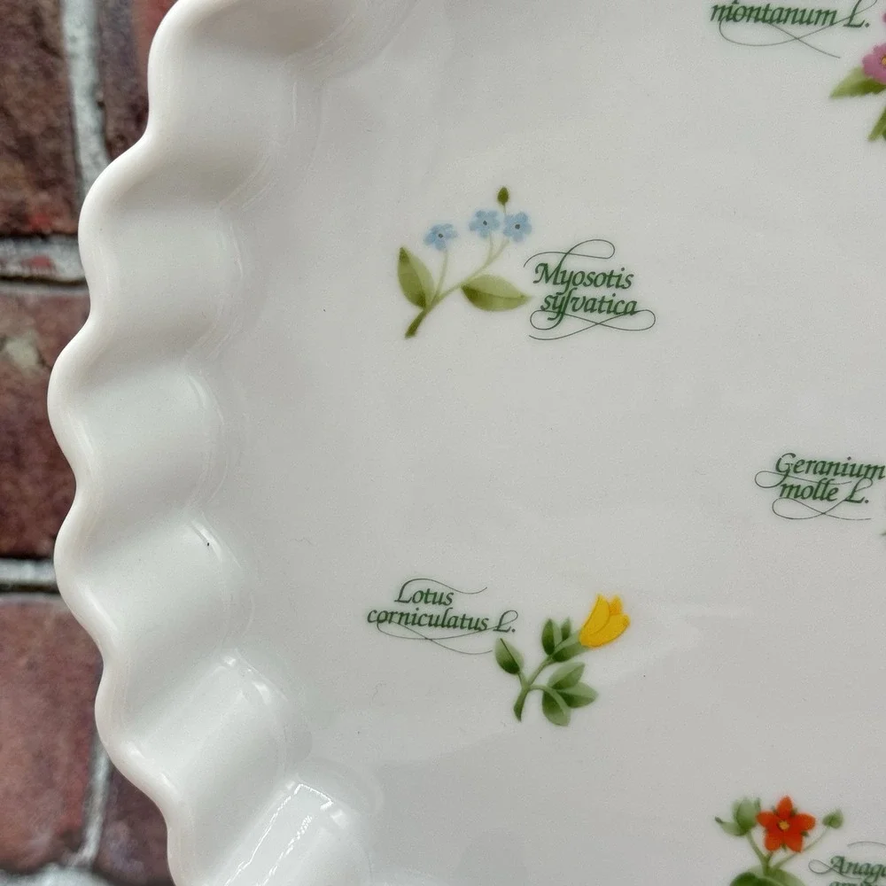 Anchor Ovenware Ceramic Quiche Pie Tart Floret Dish Pan Vtg Botanical Cottage